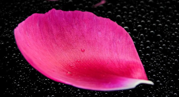 ���������� ������� � ������ ���������� �����